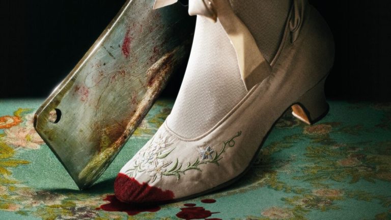 The Ugly Stepsister: Cinderella's horror reading in home video