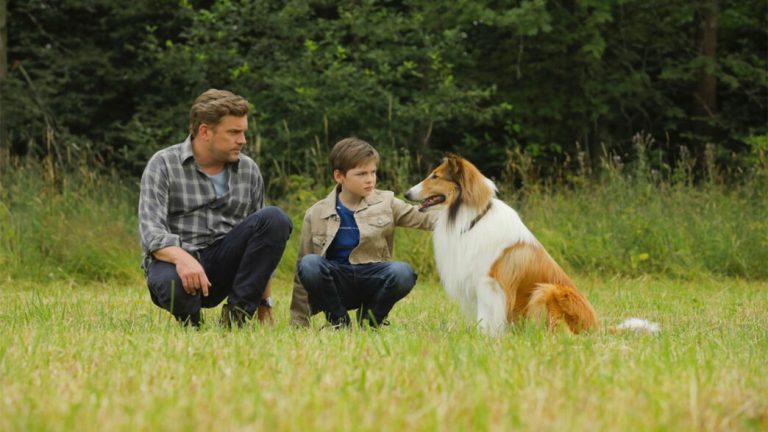 Lassie returns home tonight on TV: the adventure of collie crossing Germany to return to Flo