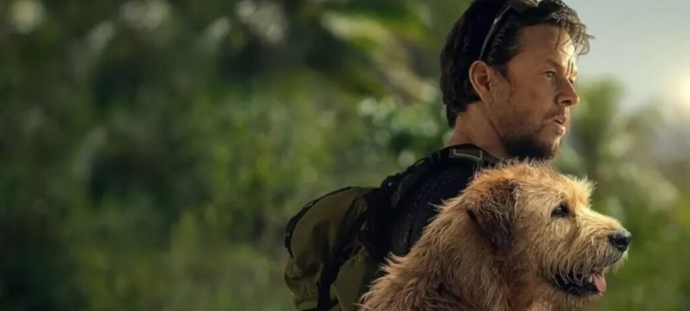 Tonight on Rai 3 there is Arthur the King: the true story of the dog who moved the world